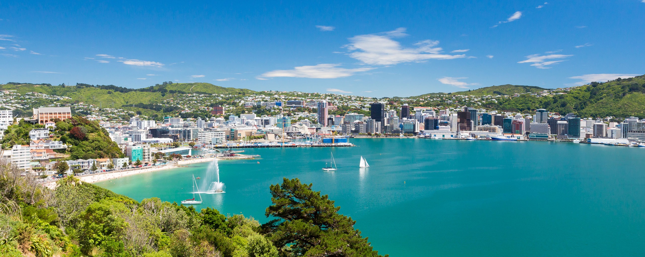 Shipping to New Zealand Sailing Schedule Alliance Shipping Group